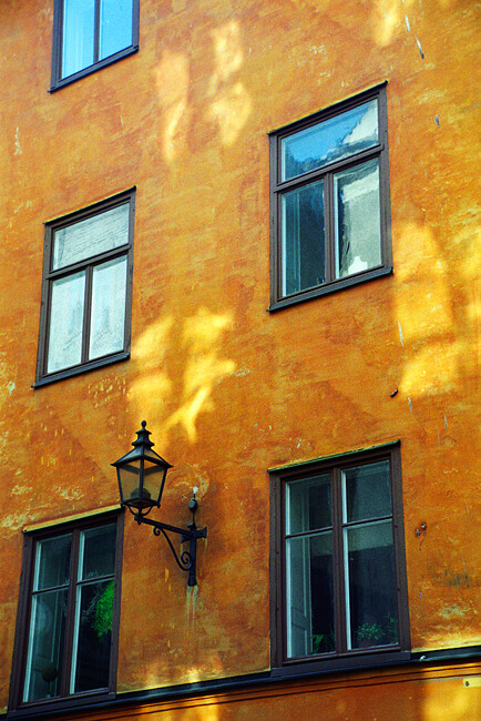 Enchanting Light