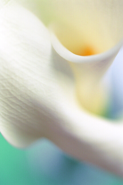 Grace