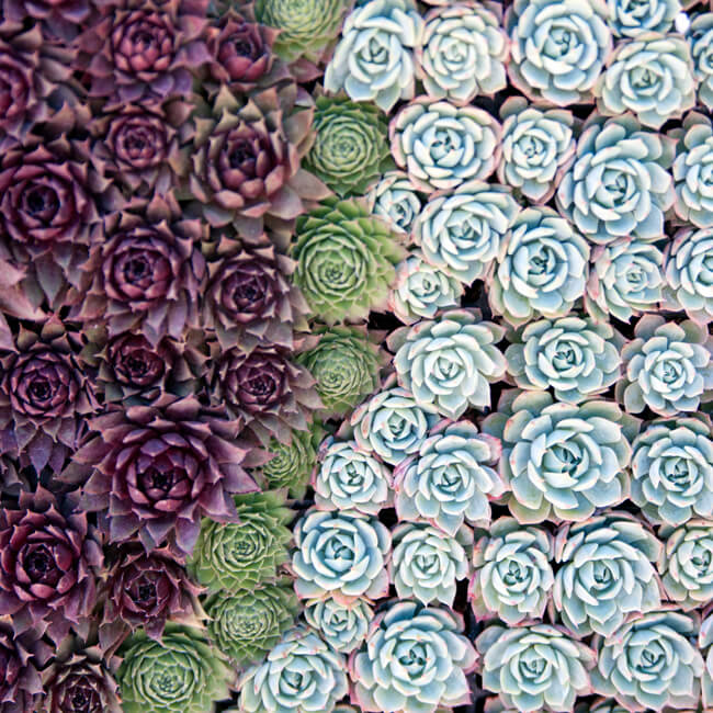 Patchwork