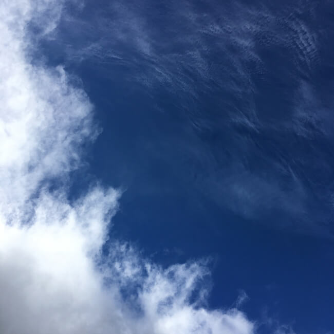 Looking Up / US173