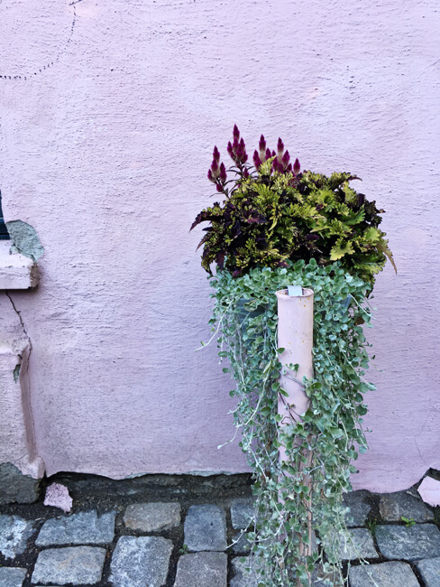 Arrangement Arrangement