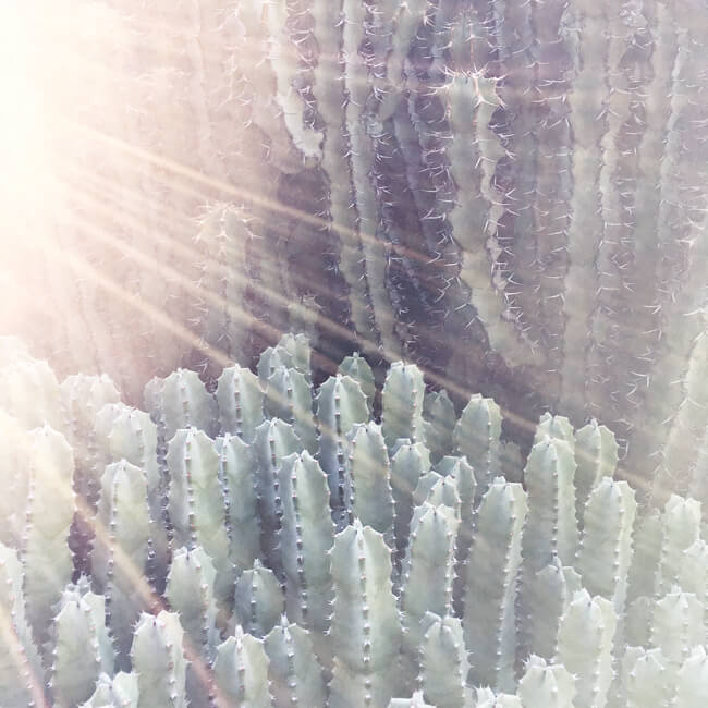 Sunlit