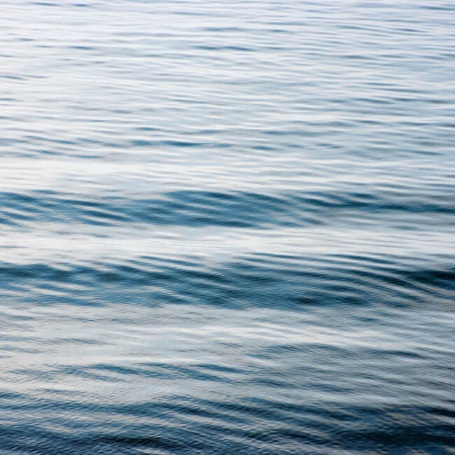 Fluidity #195