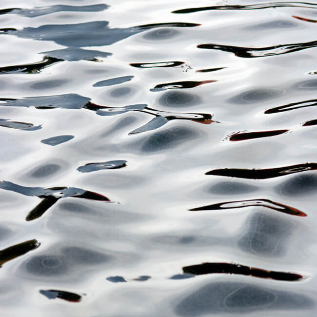 Fluidity #216