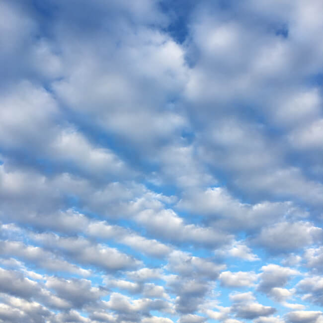 Looking Up / US224