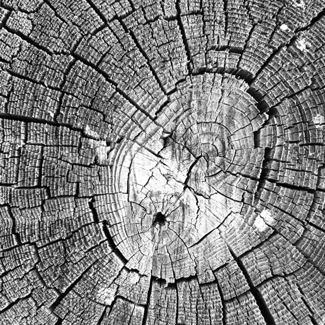 Weathered #2205