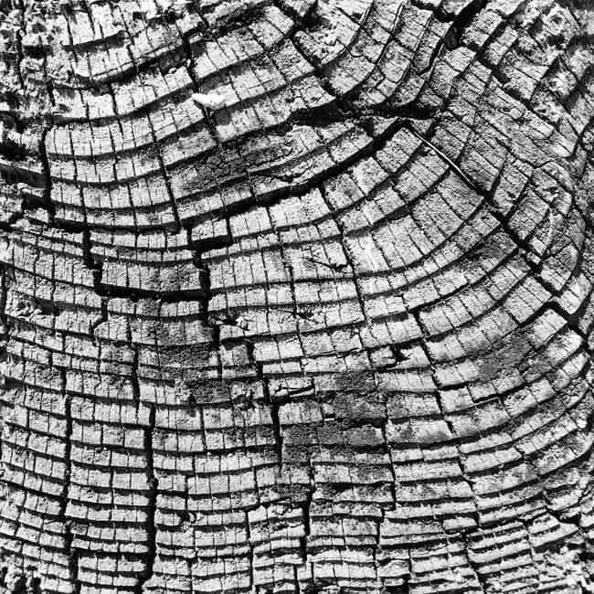 Weathered #2309