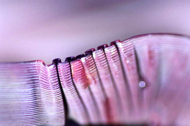 Imperfection