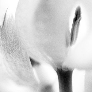 Inmost