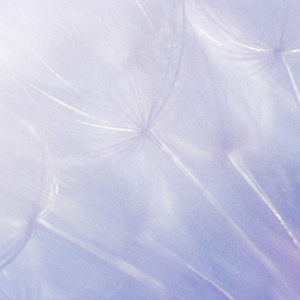 Airy-Fairy