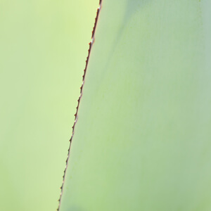Edging #6