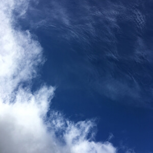 Looking Up / US173