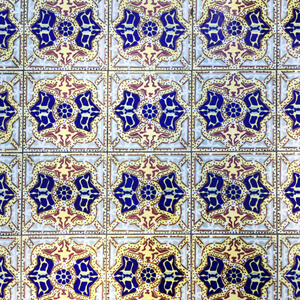 Ornate Intricacy / US171
