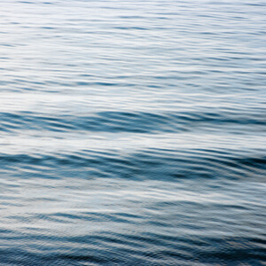 Fluidity #195