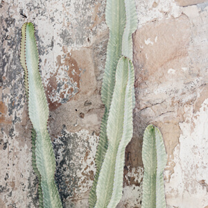 Weathered Weathered