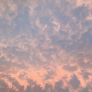 Looking Up / US131