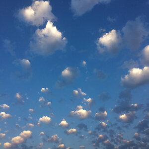 Looking Up / US216