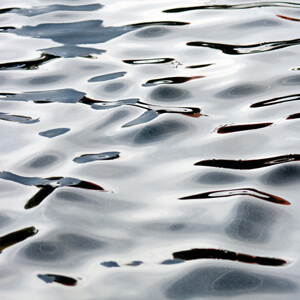 Fluidity #216