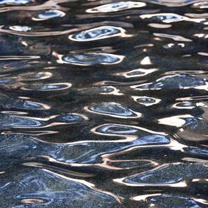 Fluidity #218