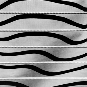 Distortion