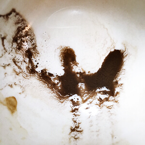 Brewed Awakenings #2214