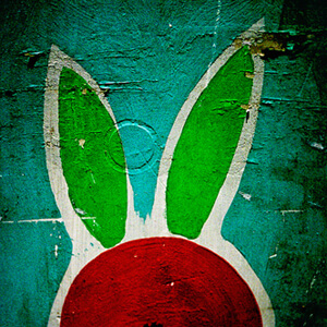 Rabbit Ears