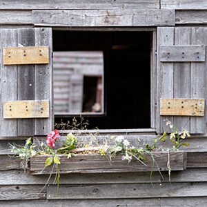 Playhouse
