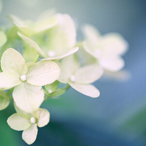 Breath of fresh air