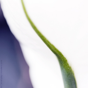 Tender touch