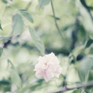 Breathe