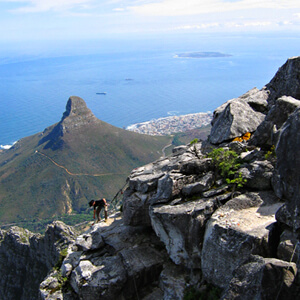 To the top