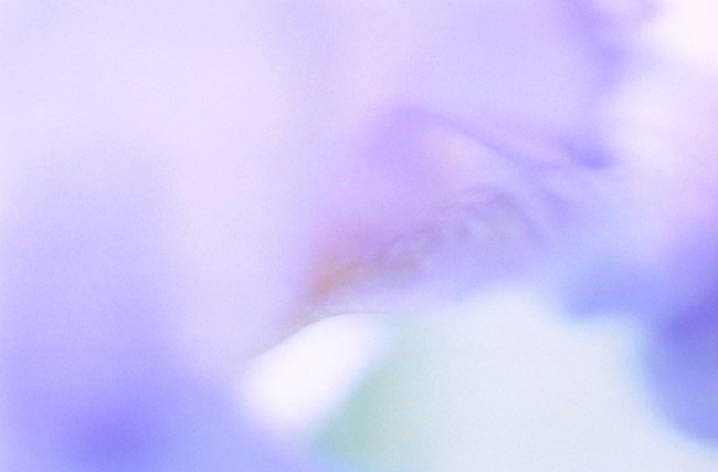 Watercolors: Iris