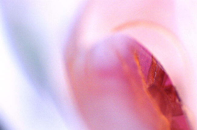 Odds & Ends: #33114