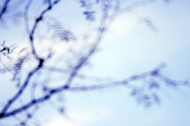 Season's Greetings!