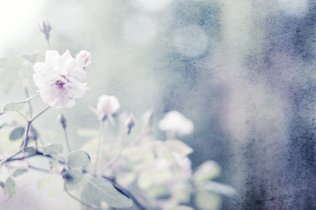 Repose