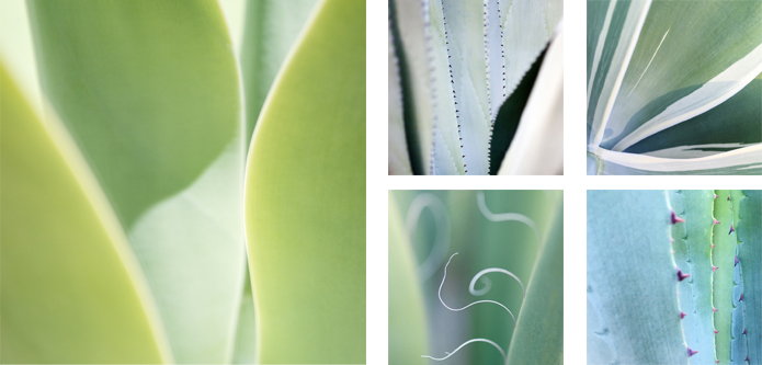 Edging Exhibition