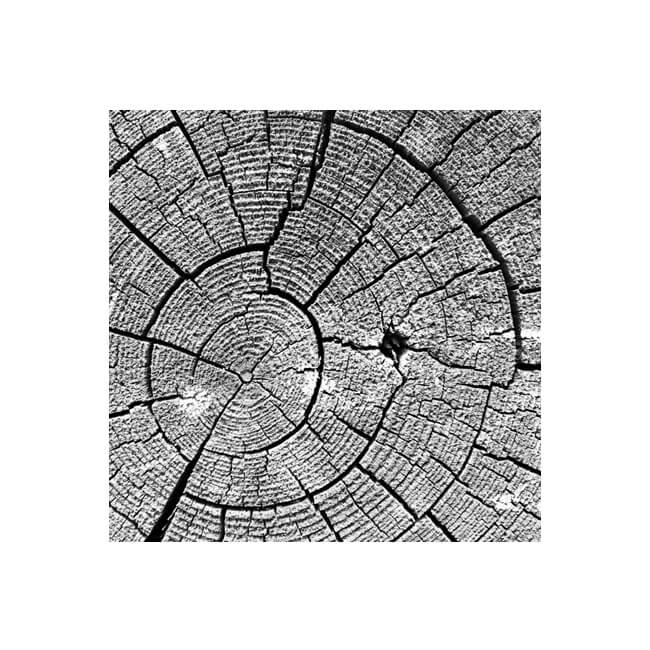 Weathered #2210